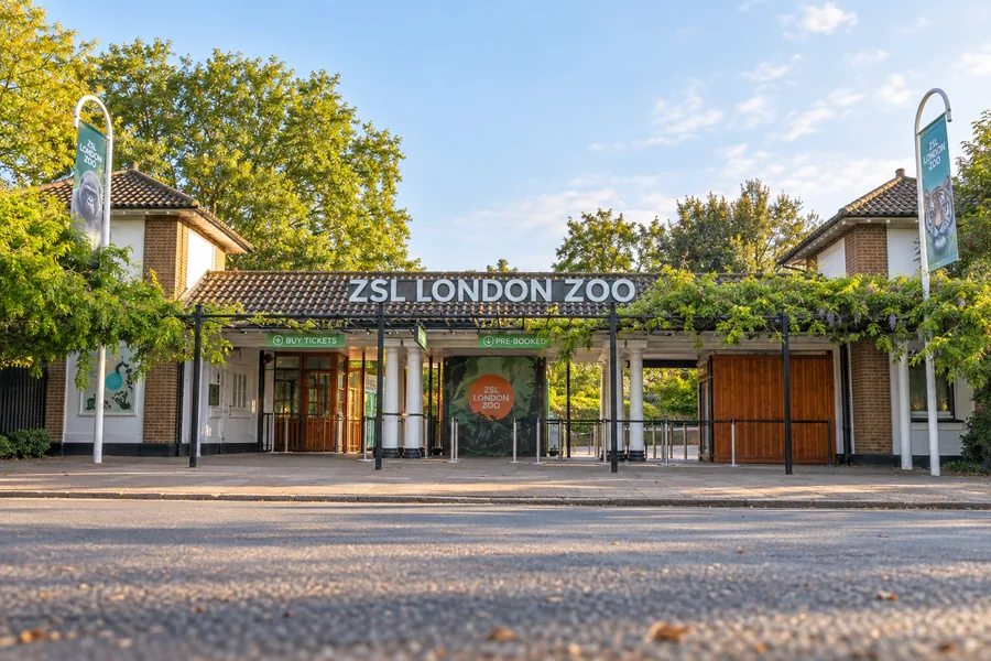 Visitors arriving at London Zoo in the morning
